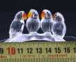 SWAROVSKI - "4 oiseaux sur une branche",