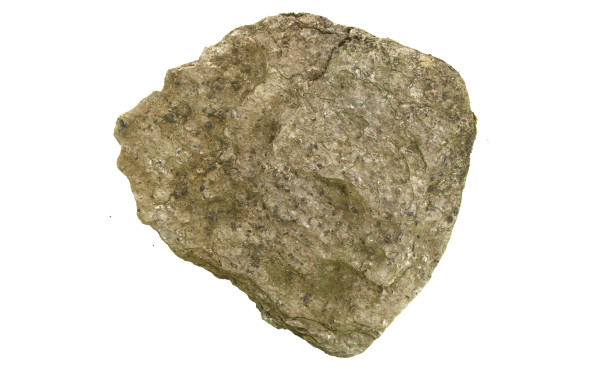 STAUROLITES - Plaque de schiste lustré a