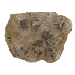 STAUROLITES - Plaque de schiste lustré a