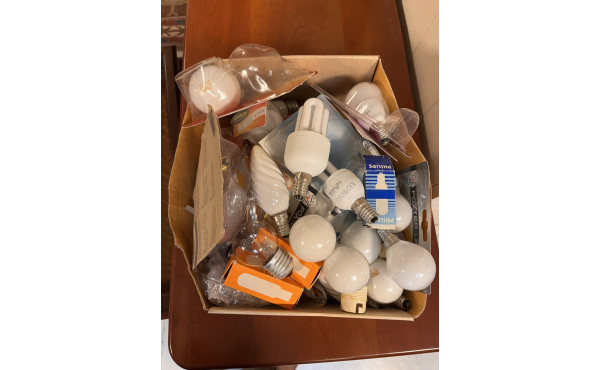 Carton d'ampoules diverses