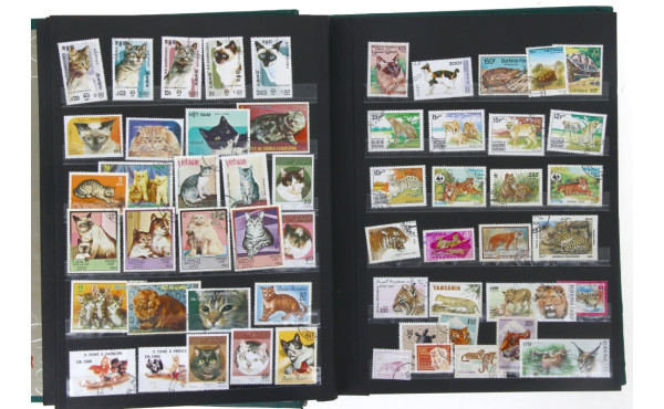 ANIMAUX - Fort classeur bien garni de TP