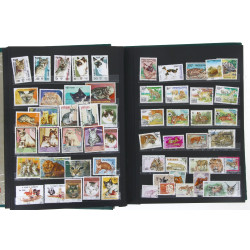 ANIMAUX - Fort classeur bien garni de TP