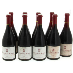 9 B SAVIGNY LES BEAUNE 2007, CDM vit.