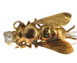 Petite broche mouche en or jaune 18 cts,