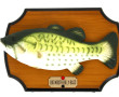 Poisson musical "Big Mouth Billy Bass", 