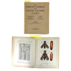 BALACHOWSKY (A.) & MESNIL (L.) - "Les In