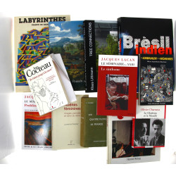 Caisse de livres divers : Brésil indien 