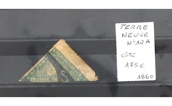 Terre-Neuve n°10A (papier mince) oblitér