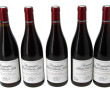 5 B HAUTES COTES DE NUITS 2010 L. Roumi