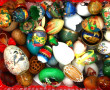 Petite collection d'œufs en différentes 