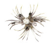 Broche accidentée en or gris, sertie d'u