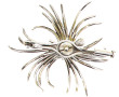 Broche accidentée en or gris, sertie d'u