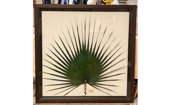 CADRE DECORATIF - Grande feuille de palm