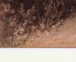 EGYPTE - "Embouchure du Canal de Suez" t