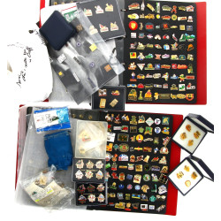 Collection de PIN'S dans trois classeurs