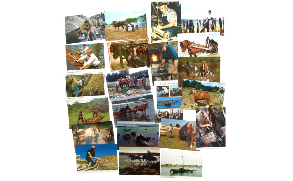 METIERS - ensemble de 30 CPM des années 