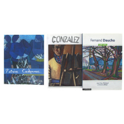 PEINTURE BRETAGNE - Lot de 3 ouvrages : 