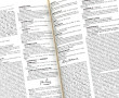 BENEZIT - Dictionnaire des peintres, 14 