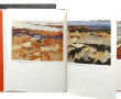 PEINTURE BRETAGNE - Lot de 2 ouvrages : 