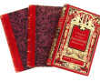 Lot de 3 livres fin XIXe: Jules Verne " 