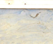 Ecole Bretonne Xxème "Paysage de campagn