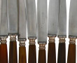 Lot comprenant un shaker, 12 curettes à 