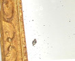 Miroir ancien de style rocaille en bois 