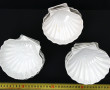Lot de 15 coquilles St Jacques en porcel