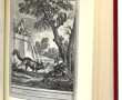 Ed° Jean de BONNOT - LA FONTAINE "Fables