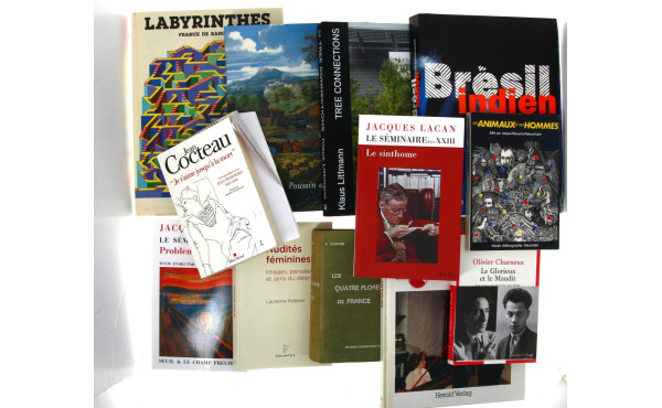 Caisse de livres divers : Brésil indien 