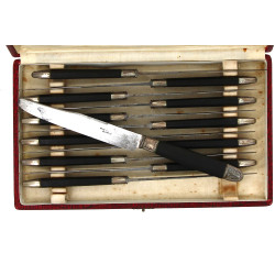 12 couteaux de table anciens manches en 