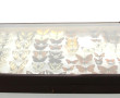 PAPILLONS - Coffret vitrine de différent