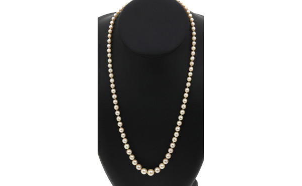 Collier de 81 perles de culture en chute