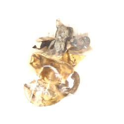 Lot d'or dentaire, poids brut 9,50 grs