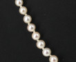 Collier de perles de culture en chute, f