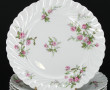 HAVILAND Paris - 12 assiettes plates en 