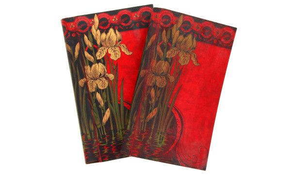 2 albums de CPA à compléter début Xxe à 