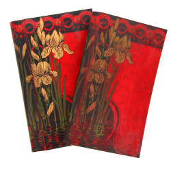 2 albums de CPA à compléter début Xxe à 