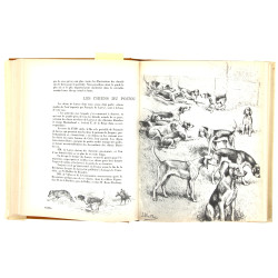 J. OBERTHUR "Gibiers de notre pays" Libr