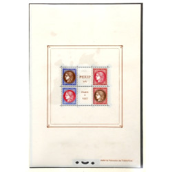 France - Bloc Pexip central 348 à 351 ne