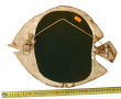 Miroir en céramique en forme de poisson,