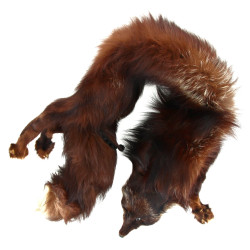 Col en renard ancien, étiquette d'un fou