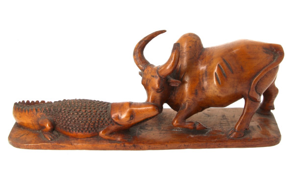 Madagascar - Combat d'un buffle et d'un 