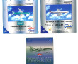 AVIATION - 3 modèles réduits d'avions d