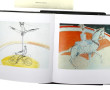 PEINTURE - Lot de 2 ouvrages : Mireille 