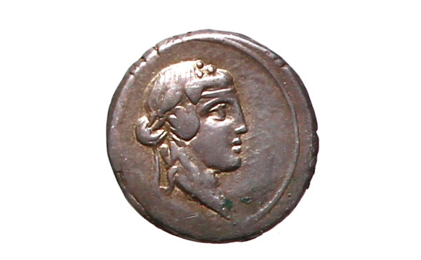 République Romaine - TITIA - Q. Titius -