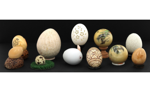 Lot de 9 œufs dont 3 œufs naturels ajour