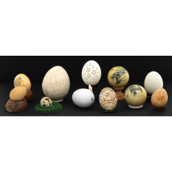 Lot de 9 œufs dont 3 œufs naturels ajour