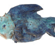 Poisson en céramique émaillée bleue, san