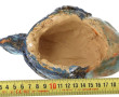 Poisson en céramique émaillée bleue, san
